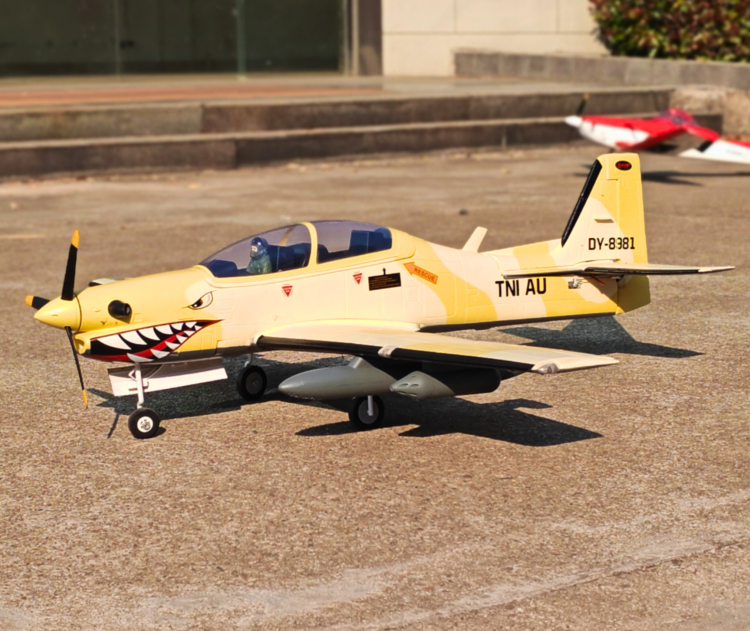 hobby rc planes